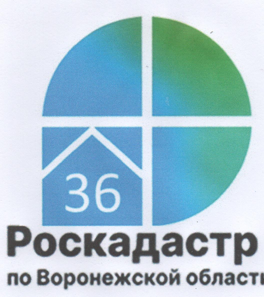Воронежцы узнают о способах получения землеустроительной документации.
